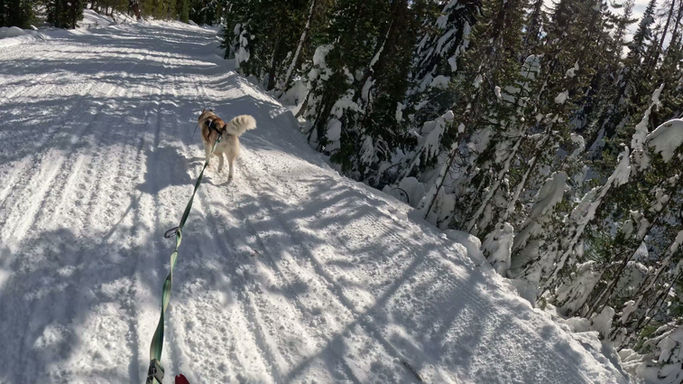 Mt. Bailey Video #5 - January 12, 2026